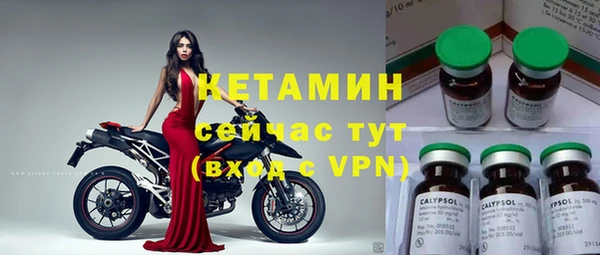 стаф Горняк