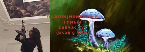 дурь Алзамай