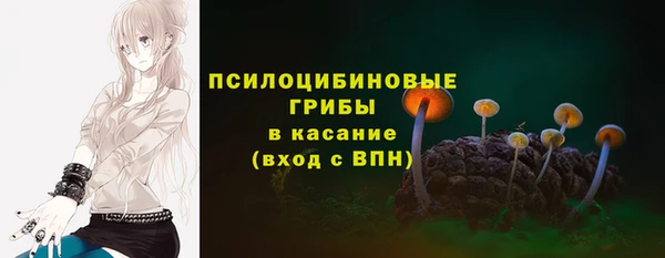 дурь Алзамай