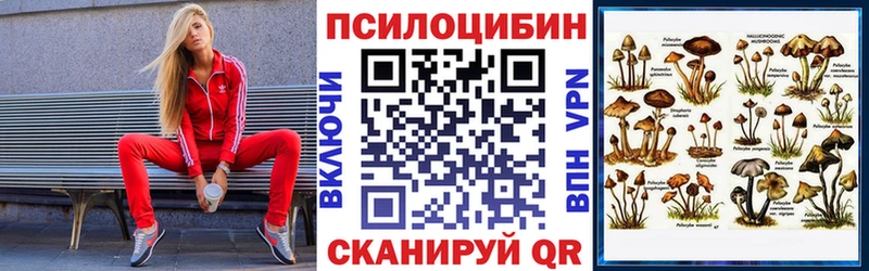 Галлюциногенные грибы ЛСД  Юрьевец 